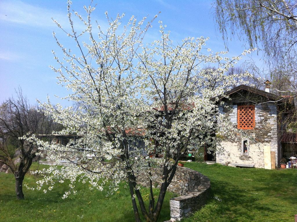 Ferienwohnung Il Ciliegio Selvatico Verbania Exterior foto