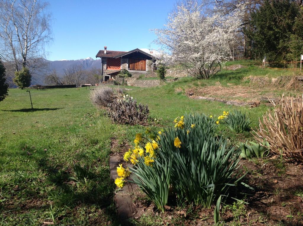 Ferienwohnung Il Ciliegio Selvatico Verbania Exterior foto