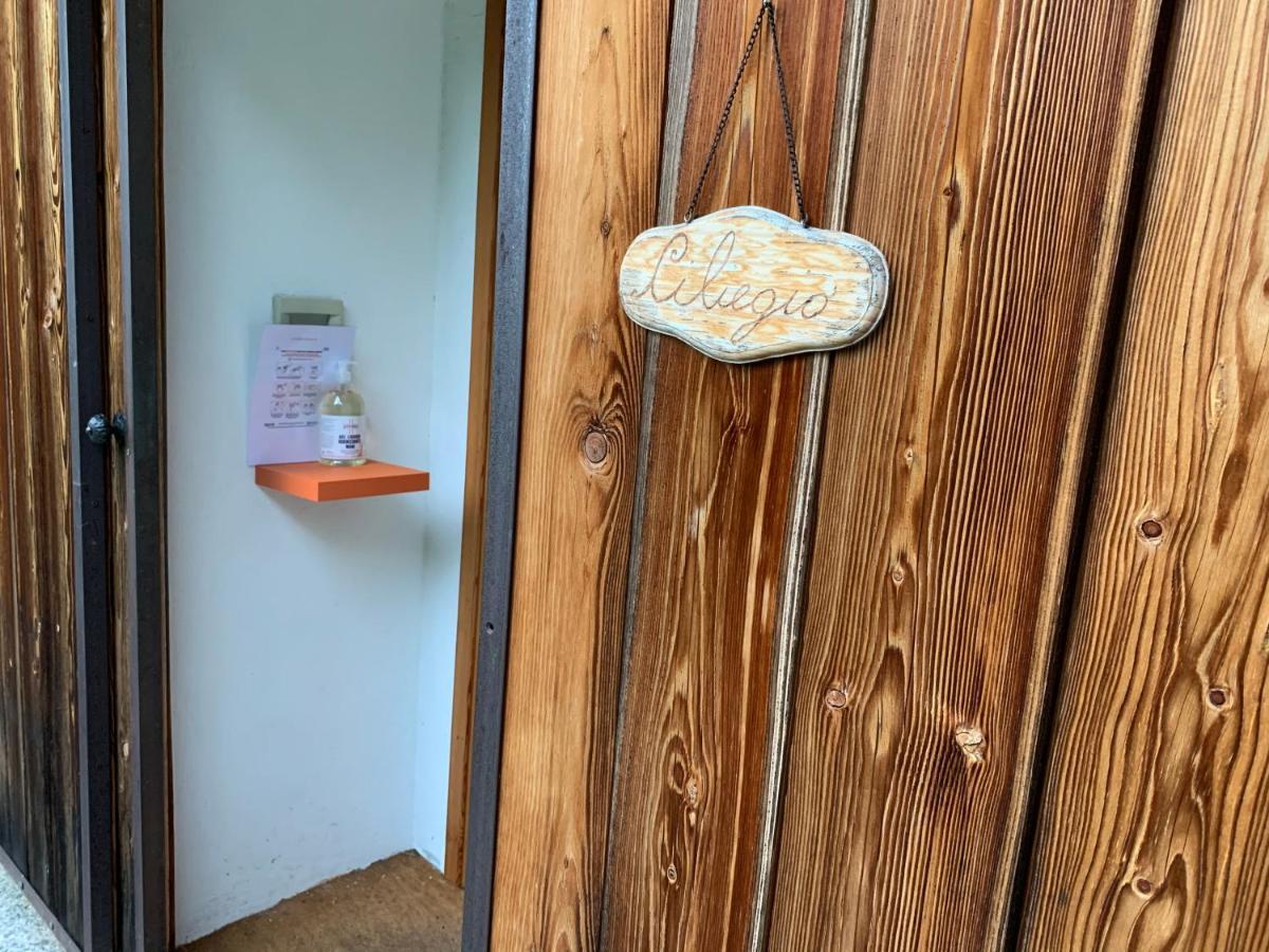 Ferienwohnung Il Ciliegio Selvatico Verbania Exterior foto